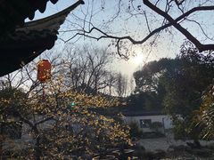 -上海醉白池公园