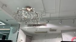 -潘多拉Hairsalon