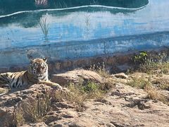 -西霞口神雕山野生动物世界