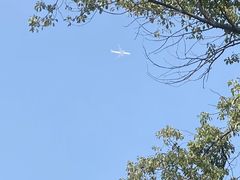 -昆山城市生态森林公园