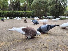 -迎泽公园