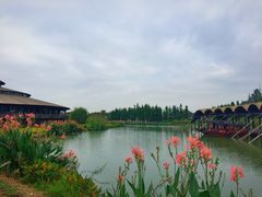 -乌村