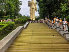 -西双版纳原始森林公园
