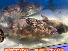 -盒马鲜生(岭南新世界店)