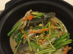 -金河半岛园林酒家(金融城店)