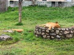 -西安秦岭野生动物园