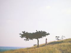 -恋山坝上草原