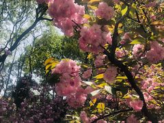 -颐缘居·南翔小笼馆