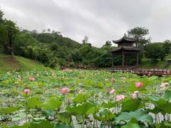 -黄陂区野村谷景区