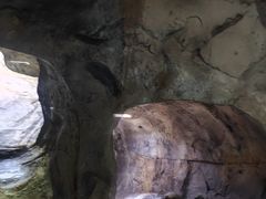 -重庆际华园室内极限运动中心