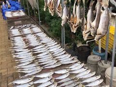 -南沙十九涌渔人码头-南门