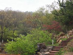 -石老人观光园