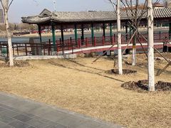 -西海子公园