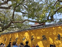 -普陀山慧济禅寺