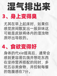 -Fundi张玉珊修身堂·indiba·BTL科技瘦身