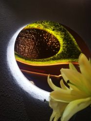 -花隐·美芙炫海菲秀皮肤管理中心