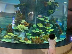 -福州罗源湾海洋世界旅游区