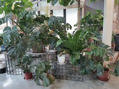 -GOTLOT COFFEE&KITCHEN角落厨房NOOK店