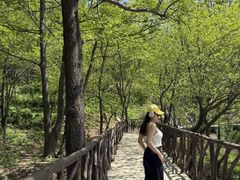 -沂蒙山旅游区龟蒙景区
