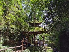 -青城山