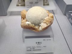 -湖南省地质博物馆