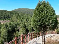 -龙洞风景区-藏龙涧