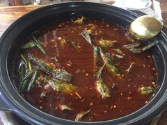 -金海椒罐罐鲢鱼(东方桂苑店)