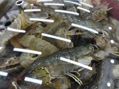 -仙螺岛海鲜自助餐厅(总店)