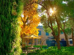 -西安城墙·碑林历史文化景区