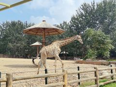 -大连森林动物园