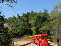 -云溪植物园