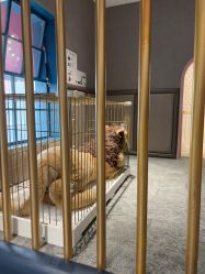 -奈尔宝·儿童乐园·亲子餐厅(华采天地店)