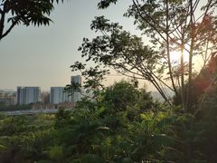 -南翠屏公园