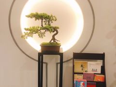 -席仁堂推拿按摩脊柱调理(世纪科贸大厦店)