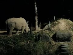 -清迈夜间动物园