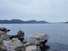 -东湖落雁景区
