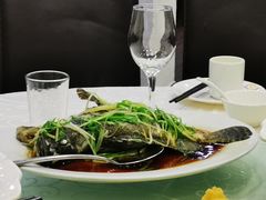 -凤城礼记鱼翅海鲜酒家(新马路总店)