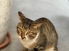 -松松咖啡