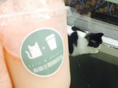 养乐多-有猫主题·治愈系猫咖(曾厝垵店)