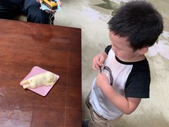 -南阳建业森林半岛假日酒店