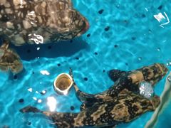 -徐记海鲜(梅溪新天地店)