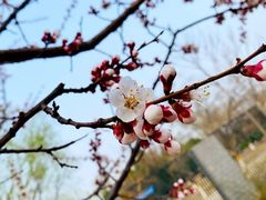 -太阳宫公园