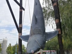 -青岛方特梦幻王国