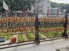 -湘力力小院·鱼汤泡饭(枫林路店)