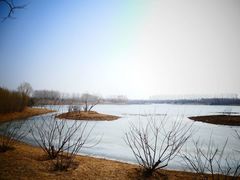-东郊湿地公园