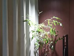 -王府茶宴(大观园总店)
