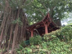 -乌山风景区