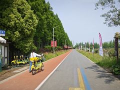 -上海长兴岛郊野公园