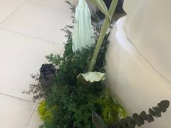 -Xcape异时刻密室逃脱魔法互动(瑞虹天地太阳宫店)