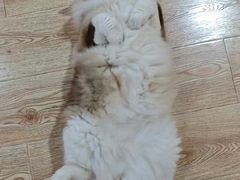 -白兔子密室(长寿路店)